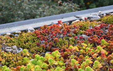 the cost of Glutton Bridge green roof installation