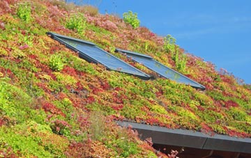 Glutton Bridge living roof systems